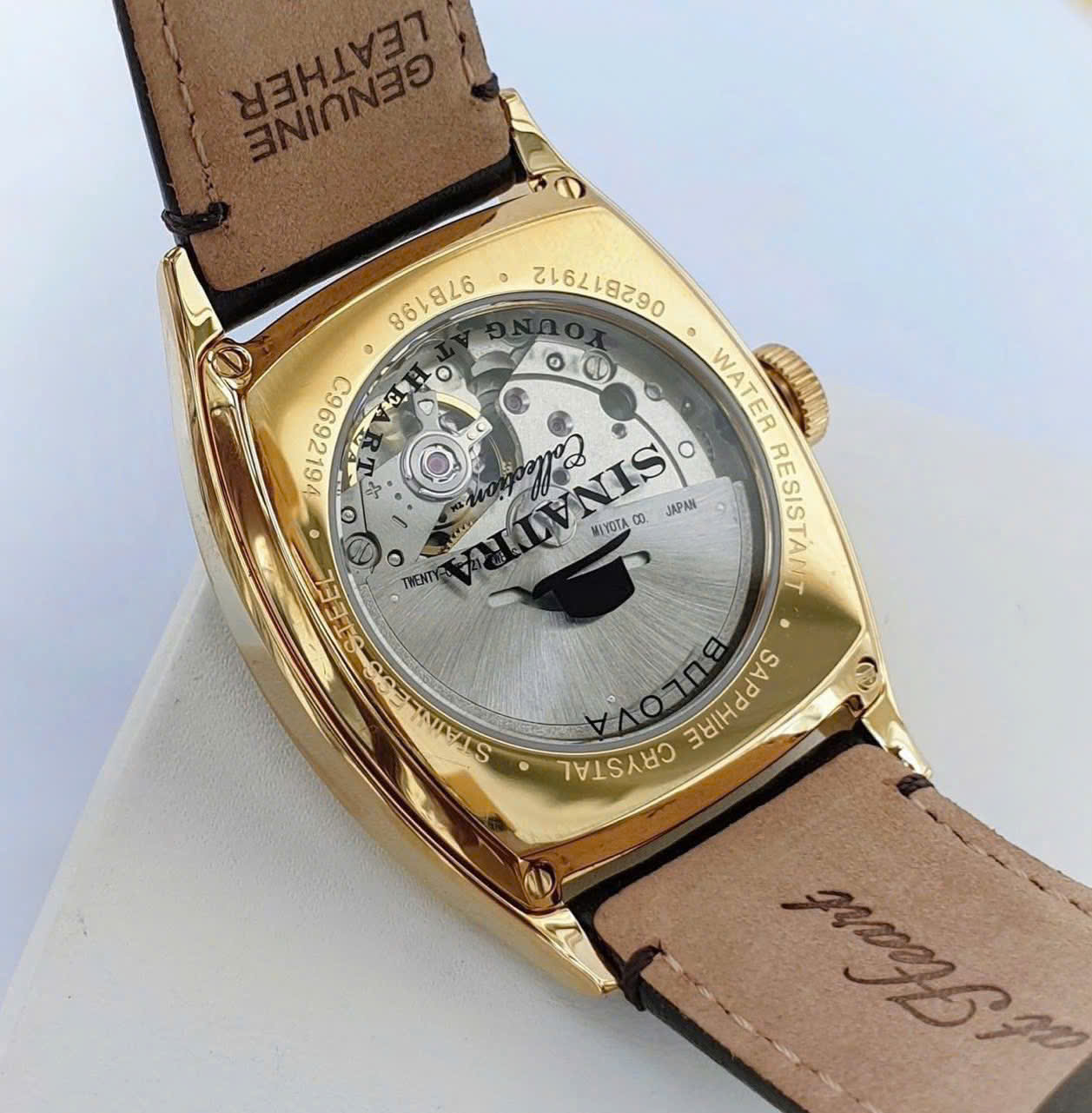 Đồng Hồ Nam Bulova 97B198 - Bulova Young at Heart Automatic 97B198 – Vẻ Đẹp Cổ Điển, Tinh Thần Trẻ Trung Bất Diệt
