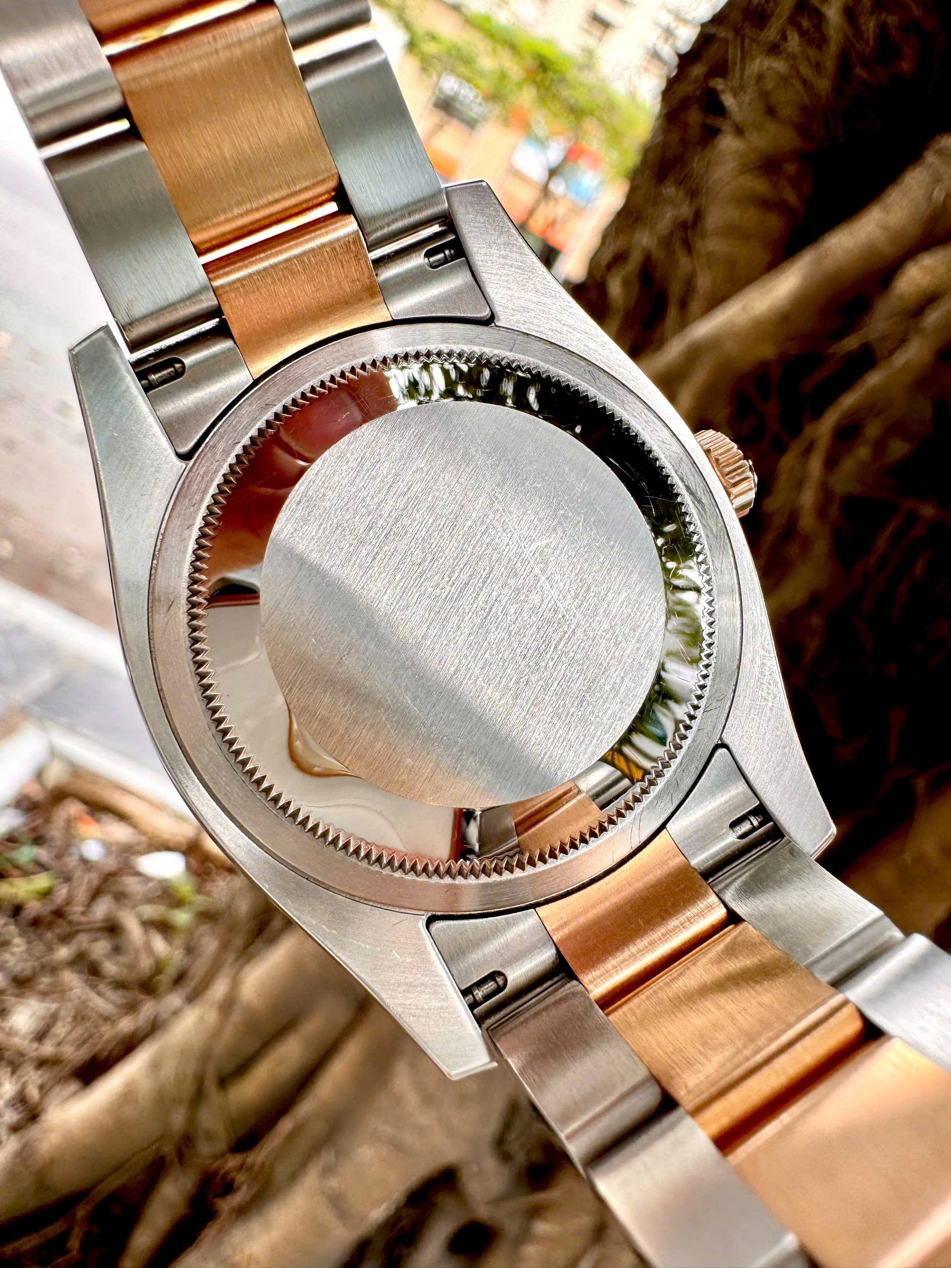 Đồng hồ Rolex Datejust 116231 – Mặt tia xám lông chuột, đính kim cương