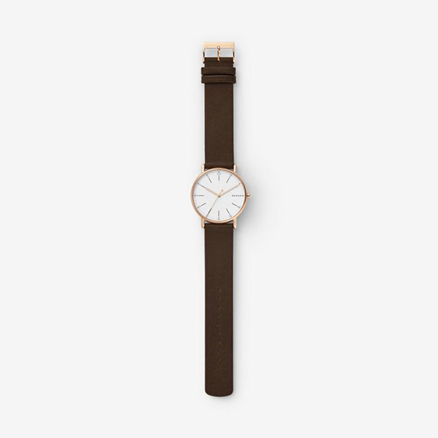 Đồng Hồ Skagen SKW6431 Cho Nam Màu Nâu Mặt Bạc