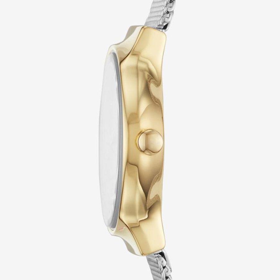 Đồng Hồ Skagen SKW2666 Cho Nữ Màu Bạc