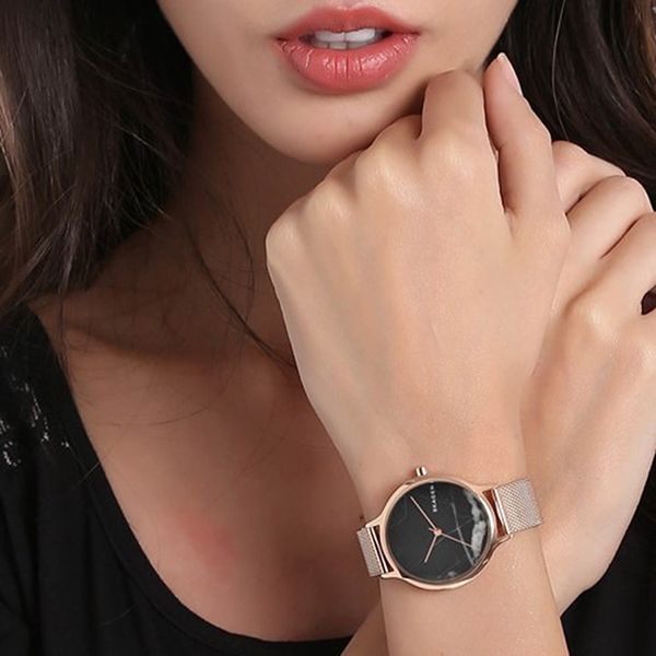 Skagen skw2721 sales