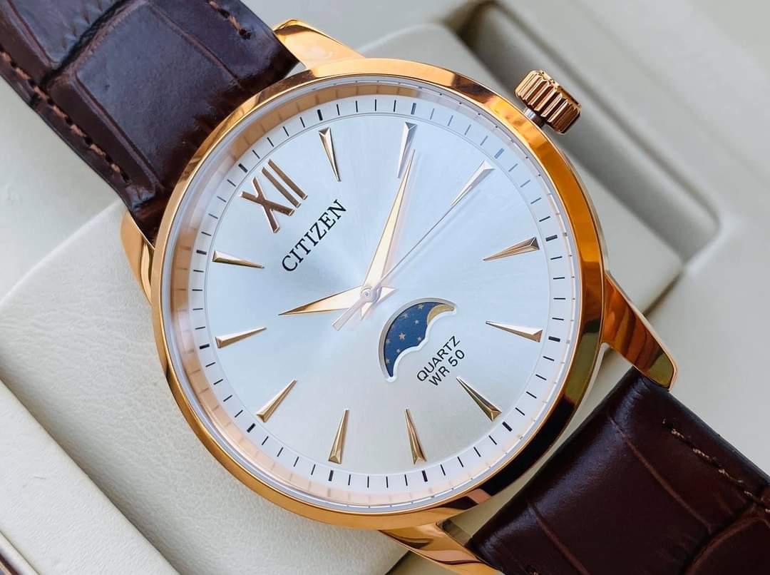 Đồng hồ CITIZEN MEN'S WATCH AK5003-05A