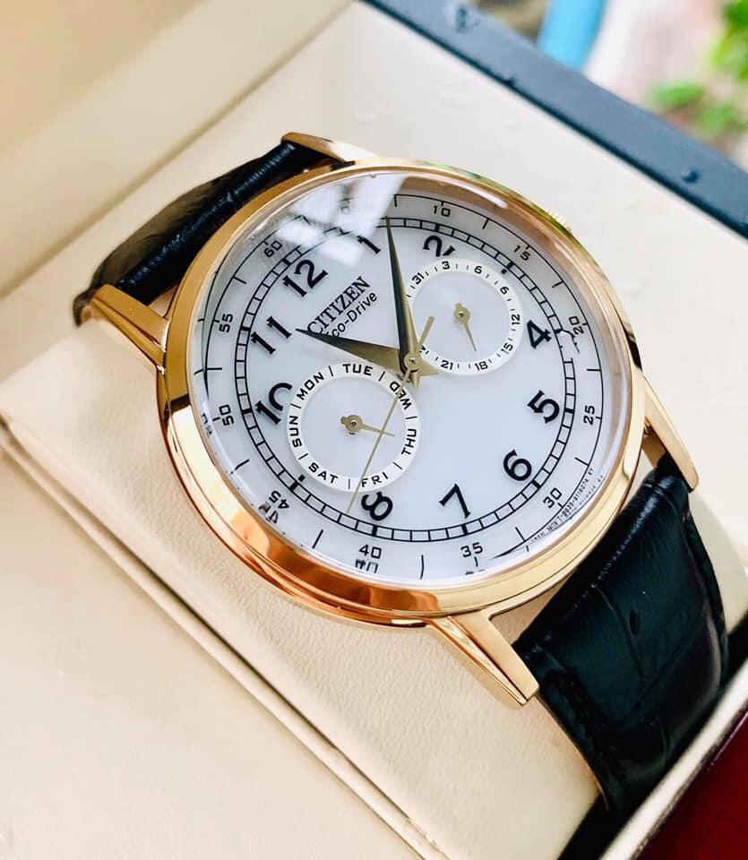 Đồng Hồ Nam Citizen Eco-Drive AO9003-16A Chính Hãng