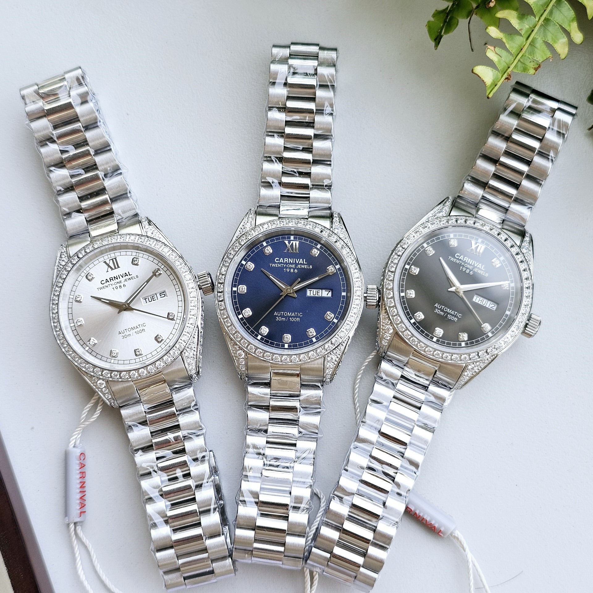 Đồng Hồ Carnival Automatic 8907G-VT-X