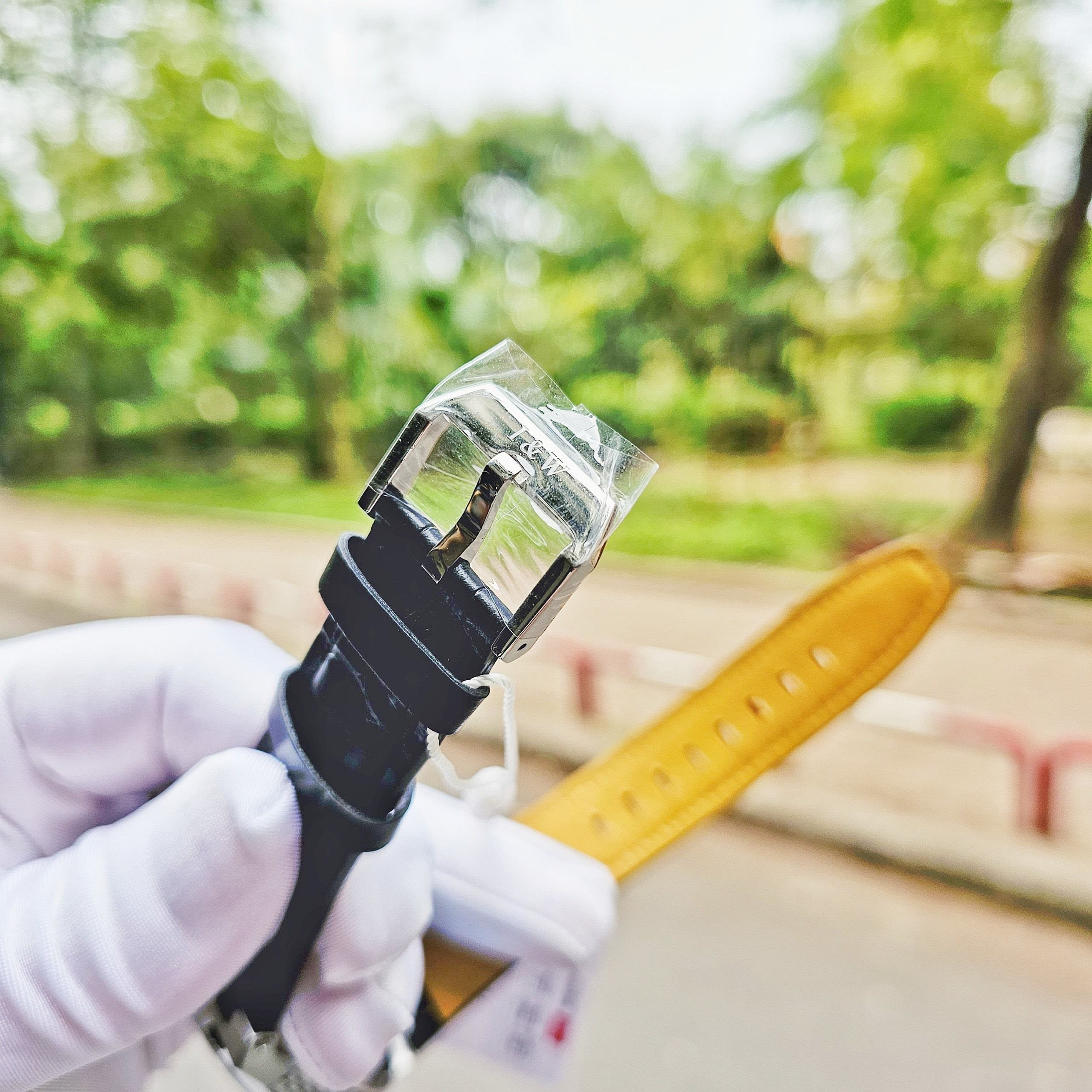 Đồng Hồ Carnival I&W 612G1