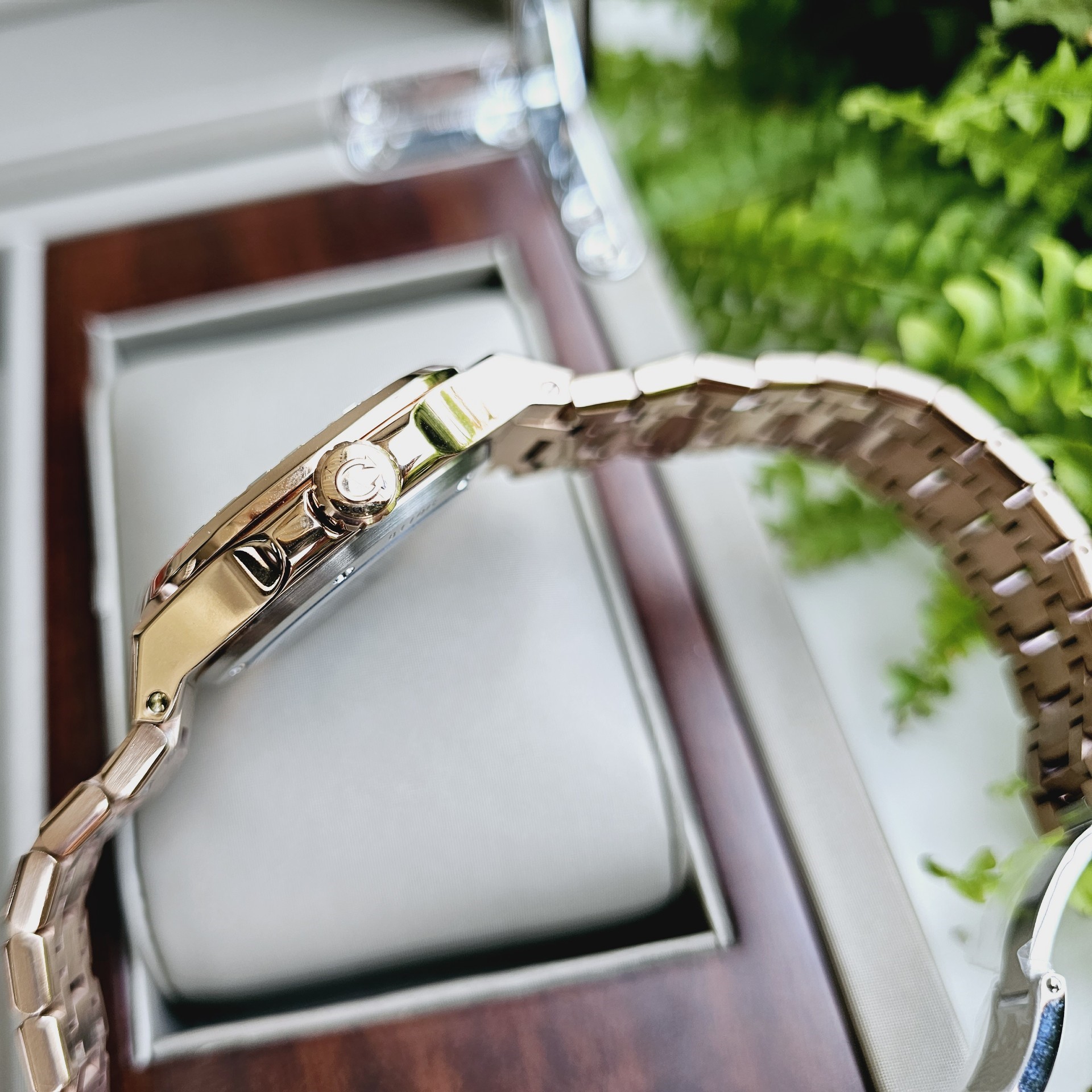 Đồng Hồ Carnival Nautilus Automatic 8110G-VH-X
