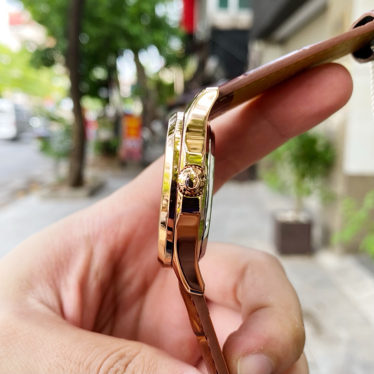 Đồng Hồ Carnival Nautilus G8113-R-BR