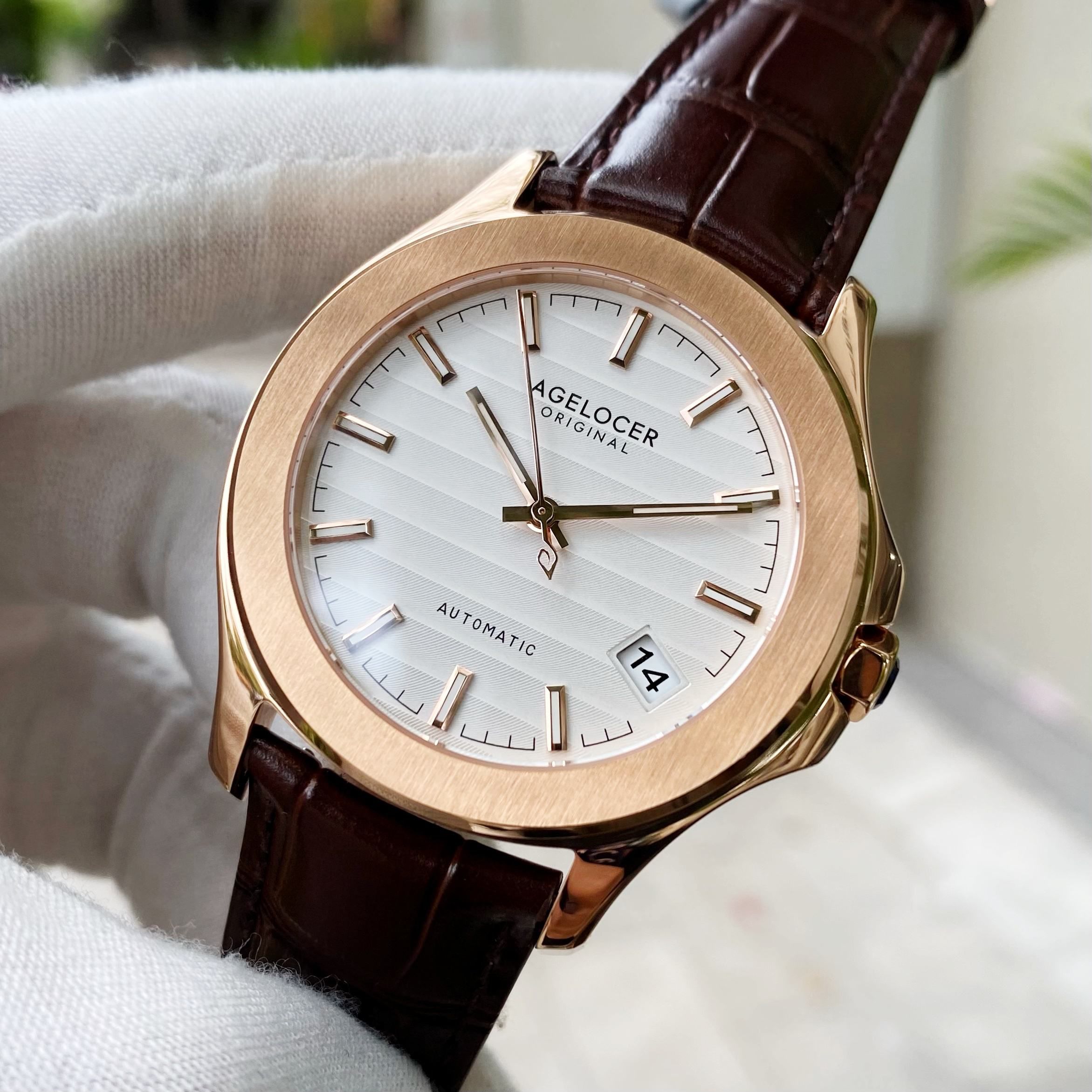 Đồng Hồ Agelocer Baikal 6301D2