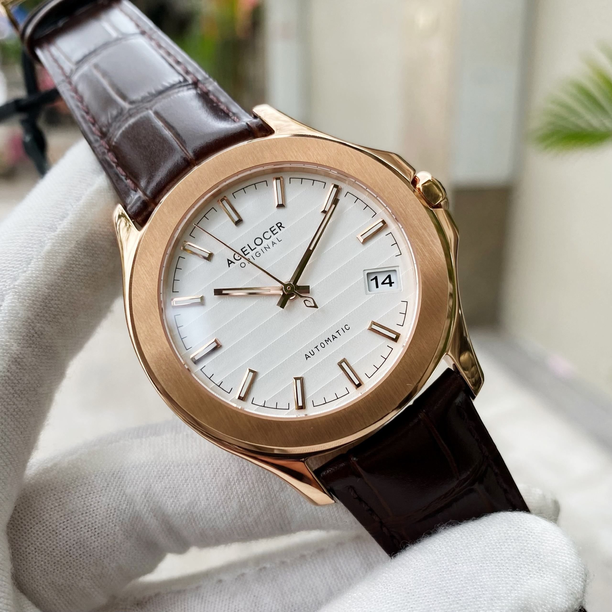 Đồng Hồ Agelocer Baikal 6301D2