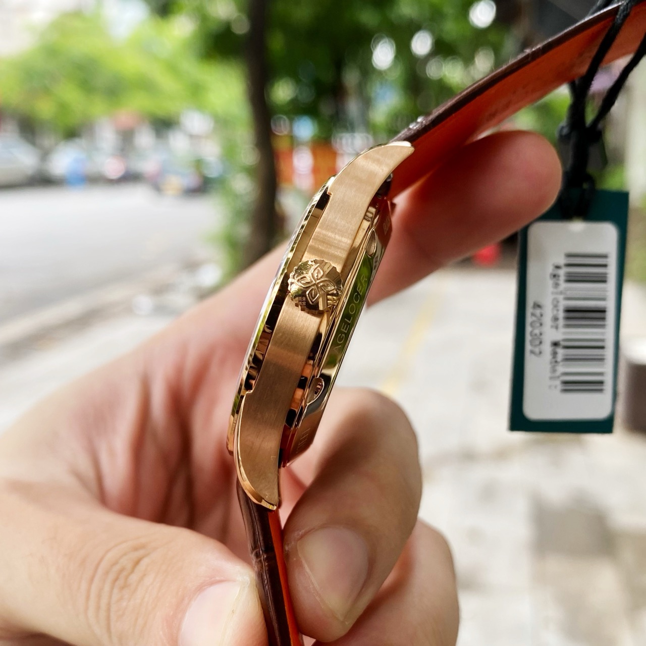 Đồng Hồ Agelocer Budapest 4203D2