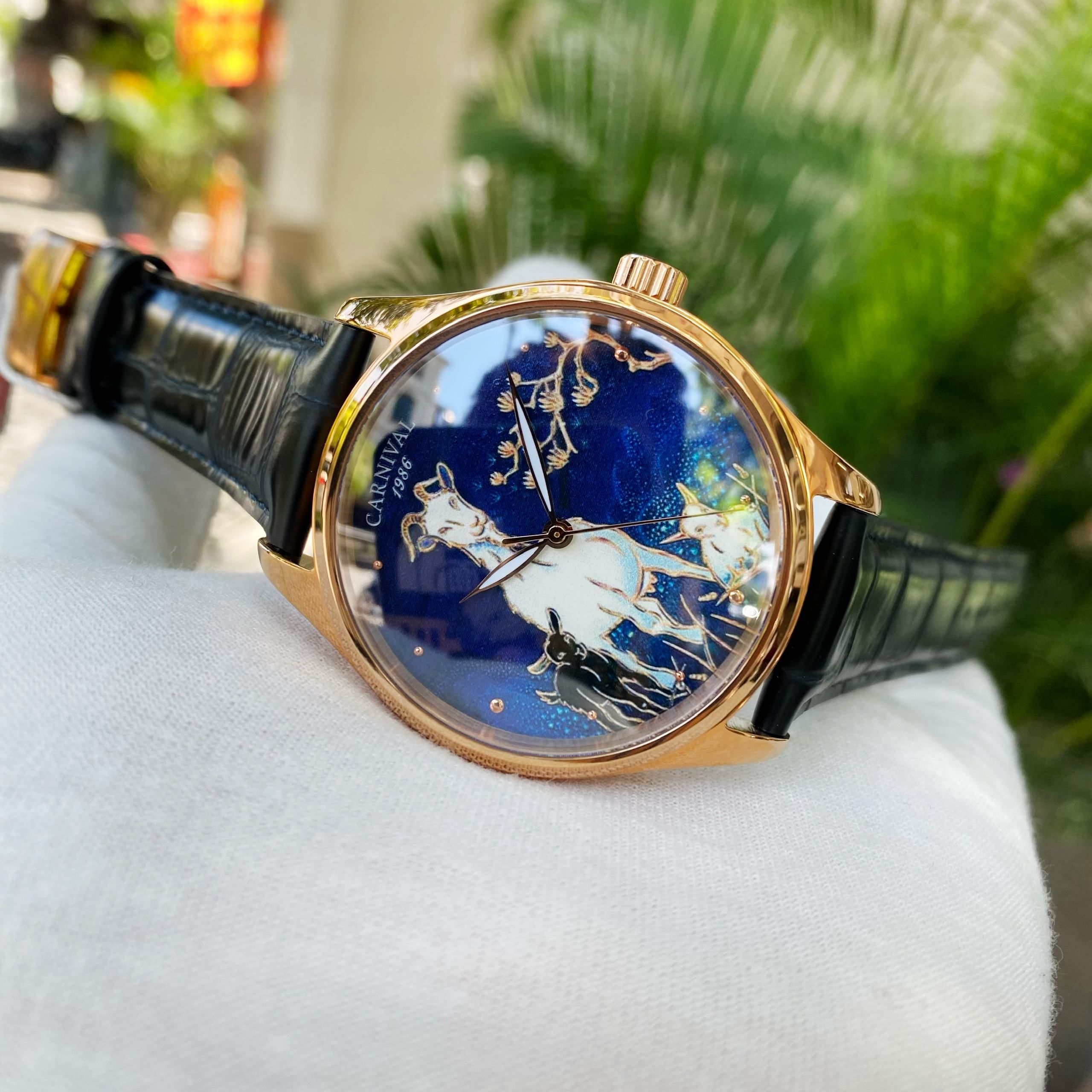 Đồng Hồ Nam Carnival Tam Dương CNV515G3