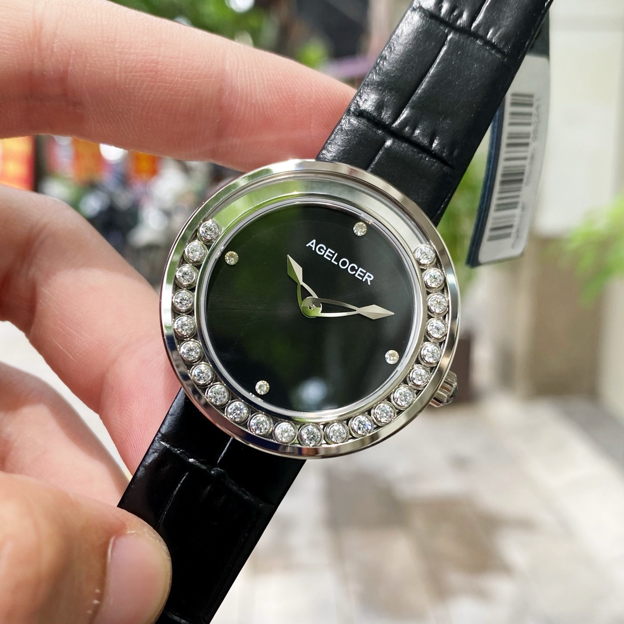 Đồng Hồ Agelocer Baikal 6602A1