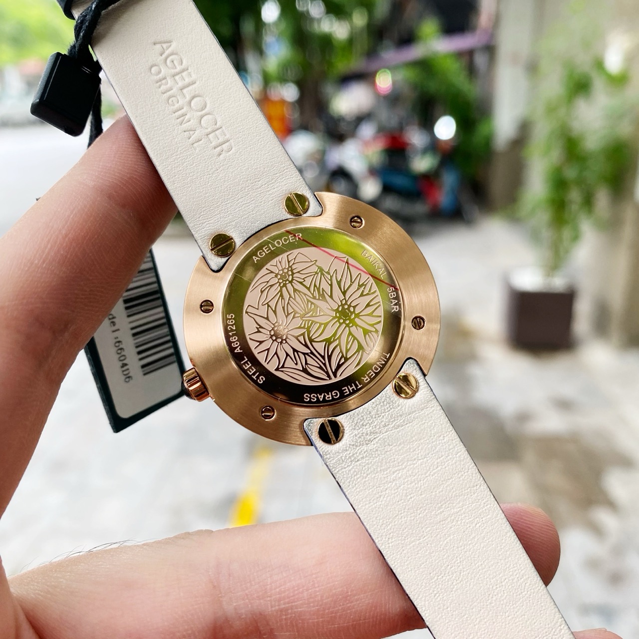 Đồng Hồ Agelocer Baikal 6604D6