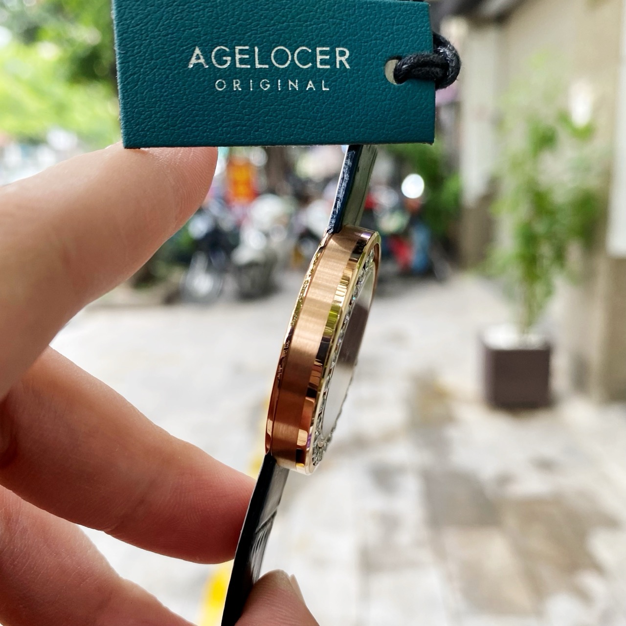 Đồng Hồ Agelocer Baikal 6604D6