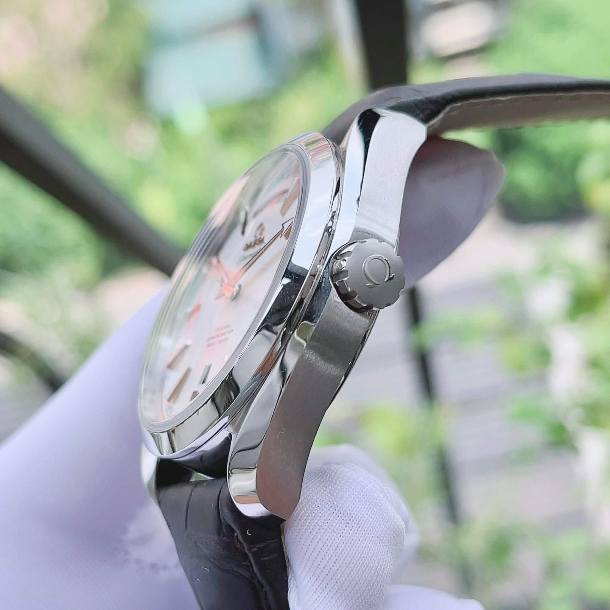Đồng Hồ Omega Seamaster Aqua Terra Co-Axial Chronometer 231.13.42.22.02.001 (23113422202001)