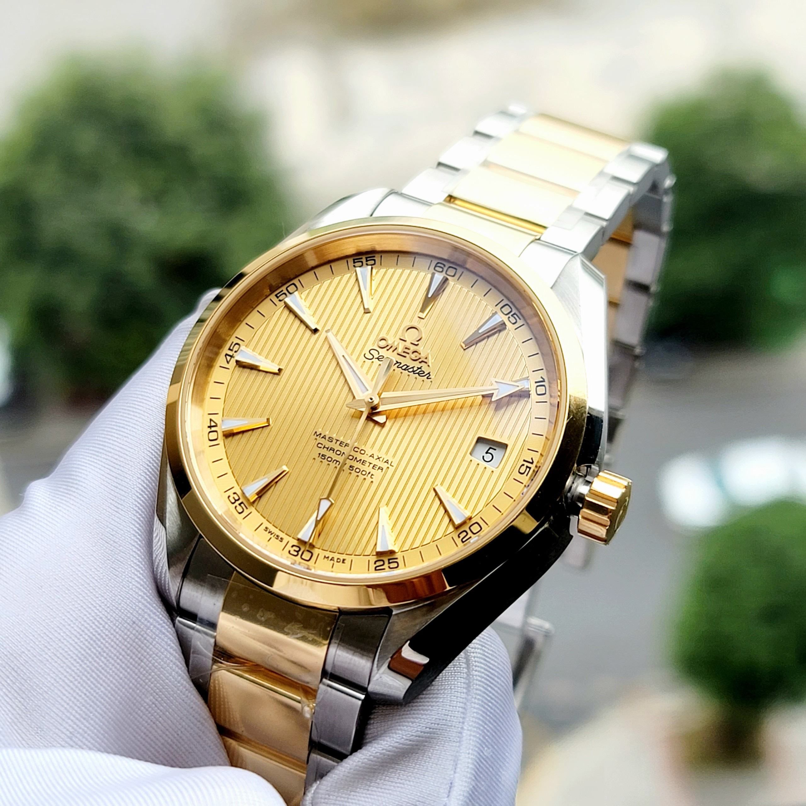Đồng Hồ Aqua Terra Master Co-Axial Chronometer 231.20.42.21.08.001