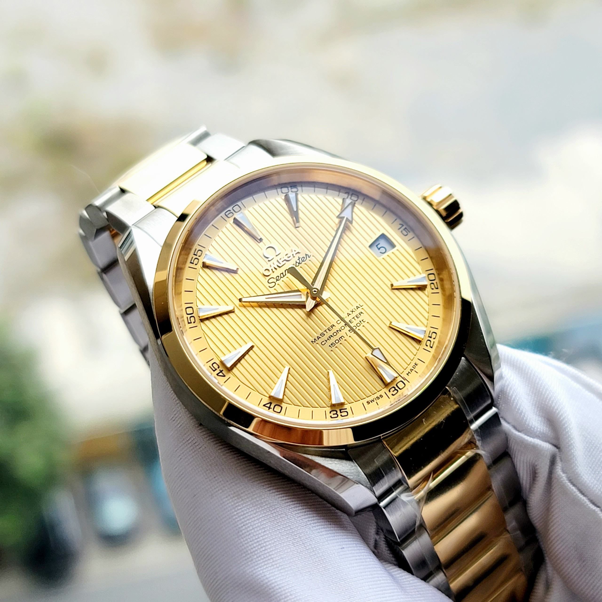 Đồng Hồ Aqua Terra Master Co-Axial Chronometer 231.20.42.21.08.001