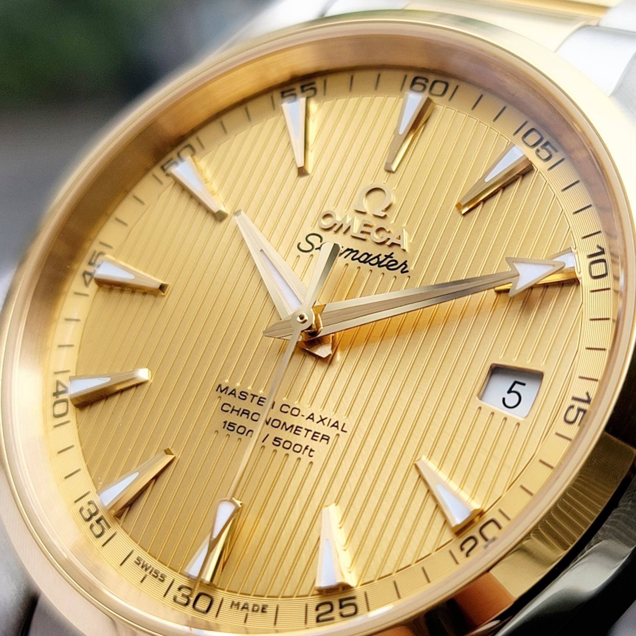 Đồng Hồ Aqua Terra Master Co-Axial Chronometer 231.20.42.21.08.001