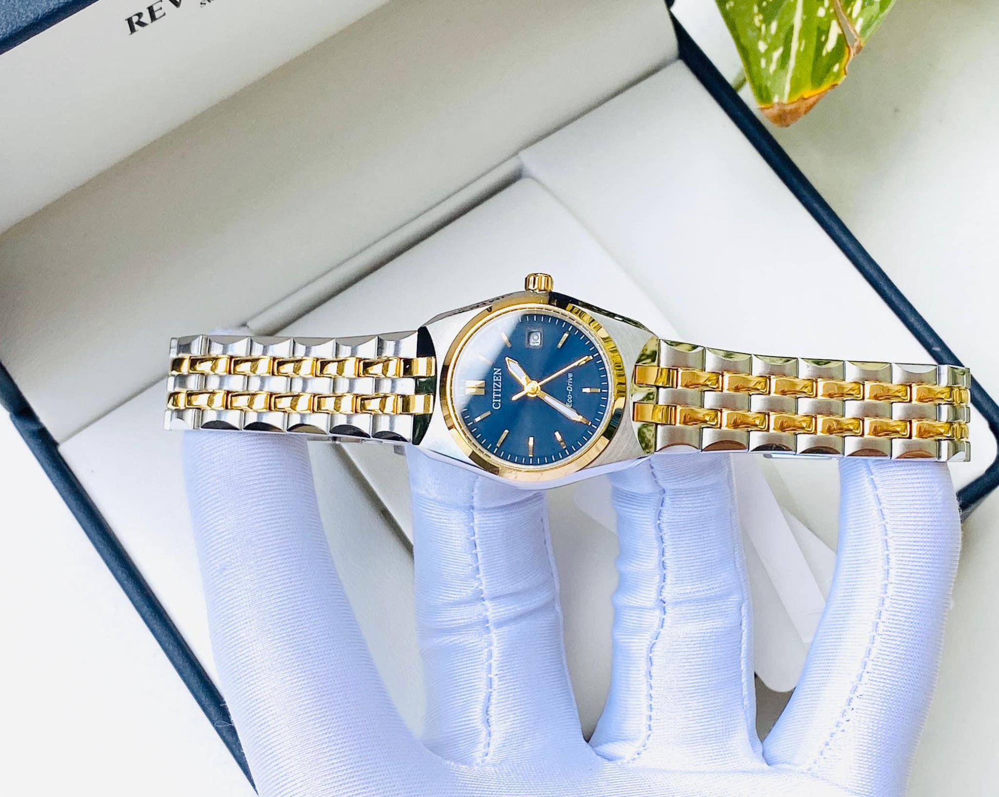 Đồng Hồ Nữ Citizen EW2294-53L chính hãng