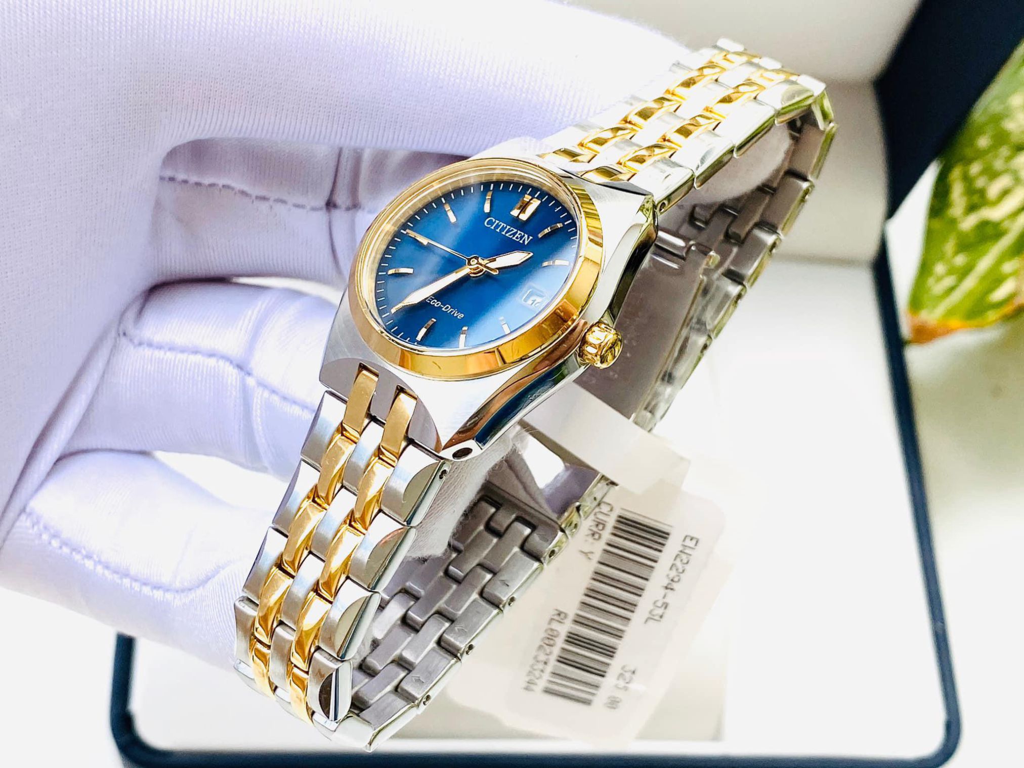 Đồng Hồ Nữ Citizen EW2294-53L chính hãng