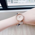 Đồng Hồ Versus by Versace Mouffetard VSPLK1320