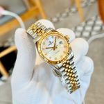Đồng Hồ Nữ Carnival 8250L Automatic – Size 31mm, Máy Automatic Japan, Kính Sapphire, Chống Nước 30m