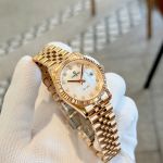 Đồng Hồ Nữ Carnival 8250L Automatic – Size 31mm, Máy Automatic Japan, Kính Sapphire, Chống Nước 30m