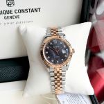 40+ Mẫu Đồng Hồ Carnival 8250G 38mm Automatic Sapphire – Đa Dạng Màu Sắc, Thiết Kế Thanh Lịch đủ mẫu
