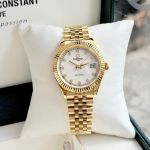 40+ Mẫu Đồng Hồ Carnival 8250G 38mm Automatic Sapphire – Đa Dạng Màu Sắc, Thiết Kế Thanh Lịch đủ mẫu