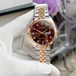 15+ Mẫu Đồng Hồ Carnival 8131G 40mm Automatic Japan – Bezel Khía, Đính Đá Swarovski, Đa Dạng Màu Sắc