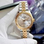 15+ Mẫu Đồng Hồ Carnival 8131G 40mm Automatic Japan – Bezel Khía, Đính Đá Swarovski, Đa Dạng Màu Sắc