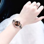 Đồng hồ Franklin FL24910 – Tiểu Thư Sang Chảnh Ở Phân Khúc Bình Dân, Thanh Lịch Từ Cái Nhìn Đầu Tiên