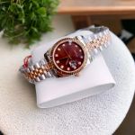 Đồng Hồ AMICA for woman Thiết kế kinh điển Rolex, Quai kim loại demi Kính sapphire mặt bả trầu