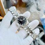 Đồng hồ nữ Carnival 8131L – “Tiểu Rolex” thời thượng