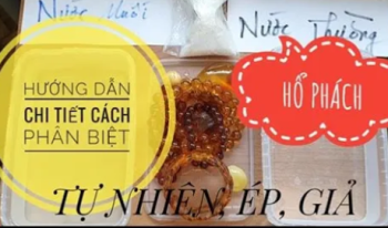 Cách phân biệt Hổ Phách thật giả
