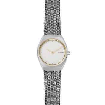Đồng Hồ Nữ Skagen ASTA SKW2654 Màu Bạc