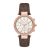 Đồng Hồ Nữ Michael Kors MK6917 Màu Vàng Gold