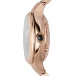 Đồng Hồ Nữ Emporio Armani Fluid Deco Automatic Diamond Mother Of Pearl Dial ARS8250 Màu Nâu