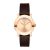 Đồng Hồ Nữ Movado Bold Sunray Dark Watch 3600438 Màu Đen Phối Vàng Hồng