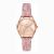 Đồng Hồ Nữ Michael Kors Quartz Rose Dial Ladies Watch MK2879 Màu Hồng