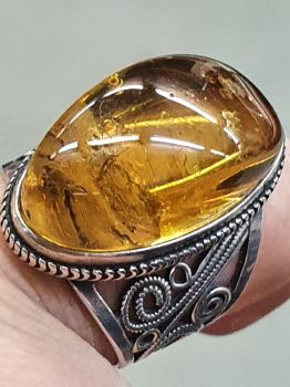 Nhẫn Hổ Phách có côn trùng 40 triệu năm