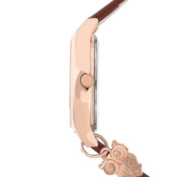 Đồng Hồ Nữ Sunlight 134013 Màu Nâu Vàng