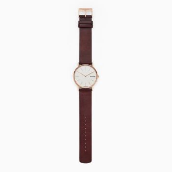 Đồng Hồ Nam Skagen Signatur Watch SKW8600 Màu Nâu