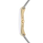 Đồng Hồ Nam Skagen Grenen SKW6825 Màu Vàng Bạc