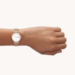 Đồng Hồ Nữ Skagen SKW1153SET Stainless Steel Watch and Strap Box Set Màu Vàng Hồng (Kèm Dây Đeo Da)