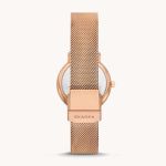 Đồng Hồ Nữ Skagen SKW1153SET Stainless Steel Watch and Strap Box Set Màu Vàng Hồng (Kèm Dây Đeo Da)