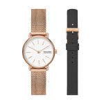 Đồng Hồ Nữ Skagen SKW1153SET Stainless Steel Watch and Strap Box Set Màu Vàng Hồng (Kèm Dây Đeo Da)