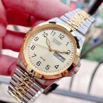 Đồng Hồ Nam Citizen BF0574-92P Màu Trắng Vàng