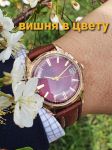 Đồng hồ vàng đúc Liên Xô Poljot 23 jewels automatic mặt huyết