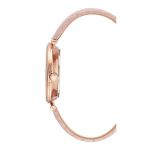 Đồng Hồ Nữ Anne Klein AK3754RGPK Màu Hồng
